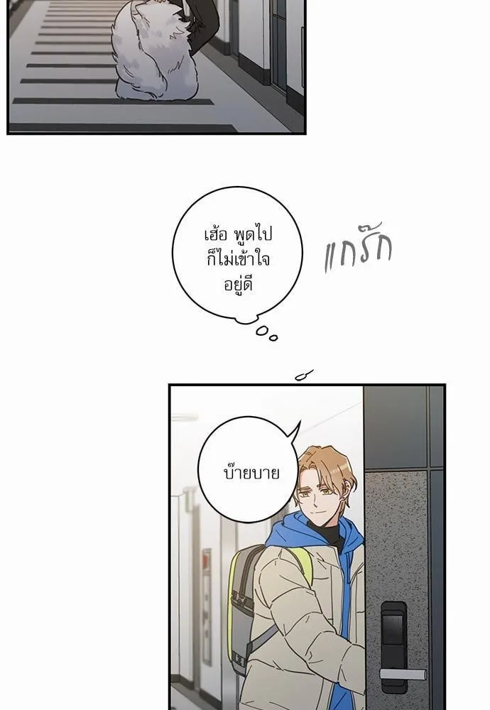 My One and Only Cat ตอนที่ 215 My One and Only Cat ตอนที่ 215