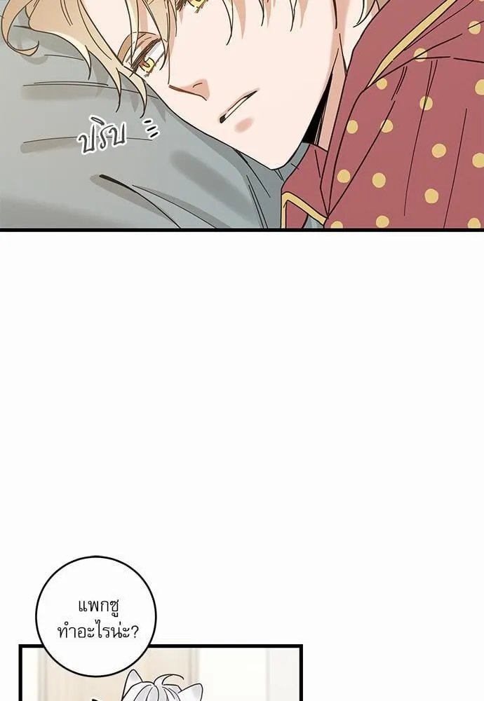 My One and Only Cat ตอนที่ 2153