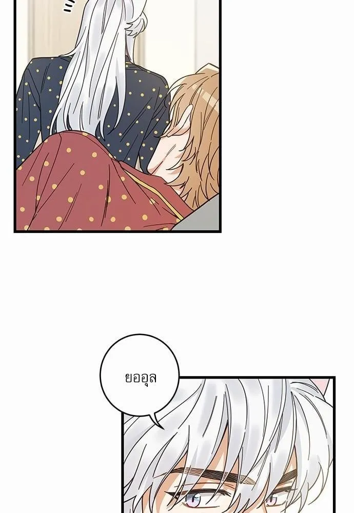 My One and Only Cat ตอนที่ 2154