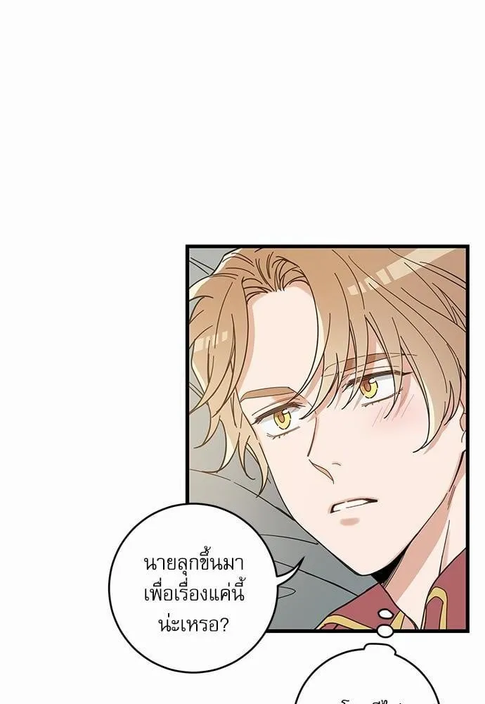 My One and Only Cat ตอนที่ 2158