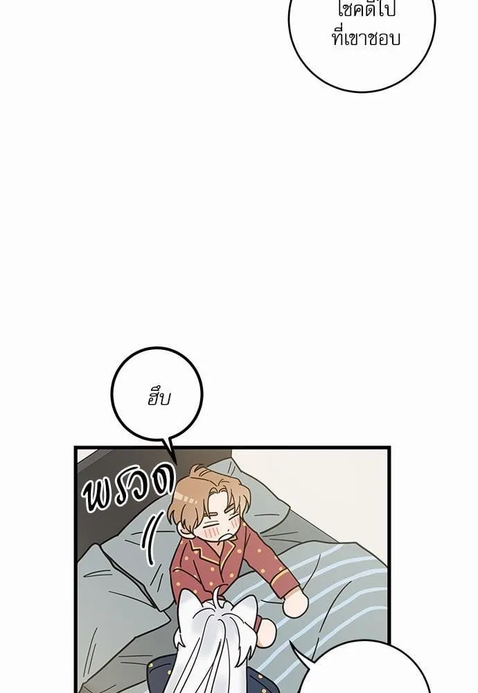 My One and Only Cat ตอนที่ 2159