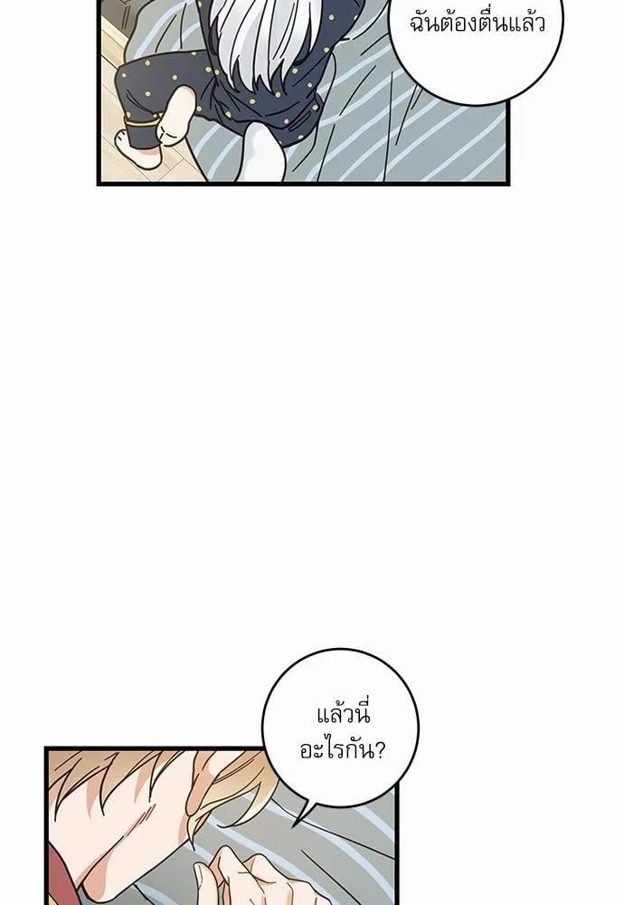 My One and Only Cat ตอนที่ 2160