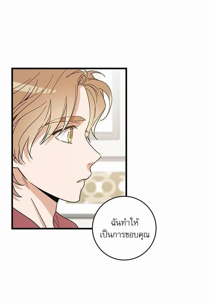 My One and Only Cat ตอนที่ 2164