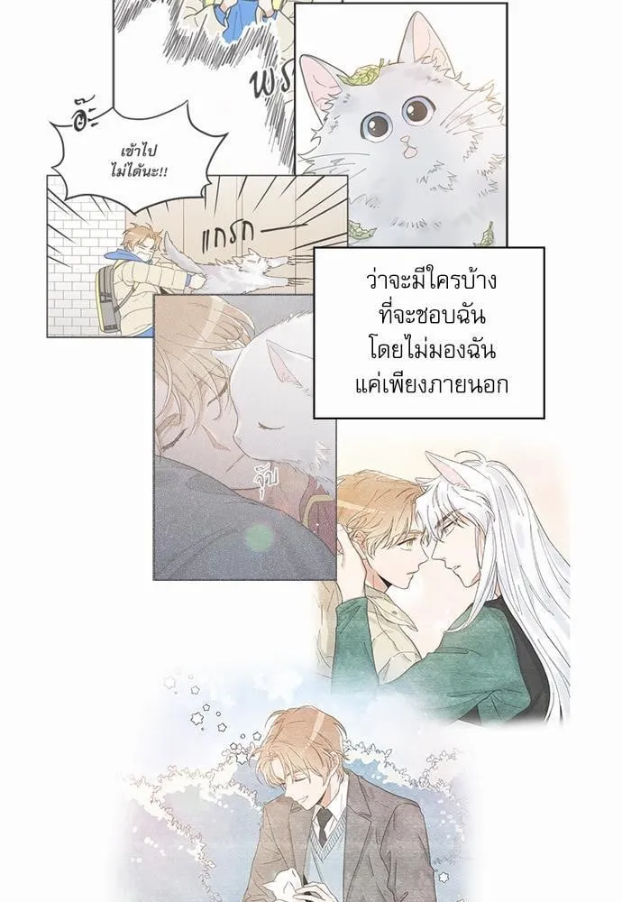 My One and Only Cat ตอนที่ 2169