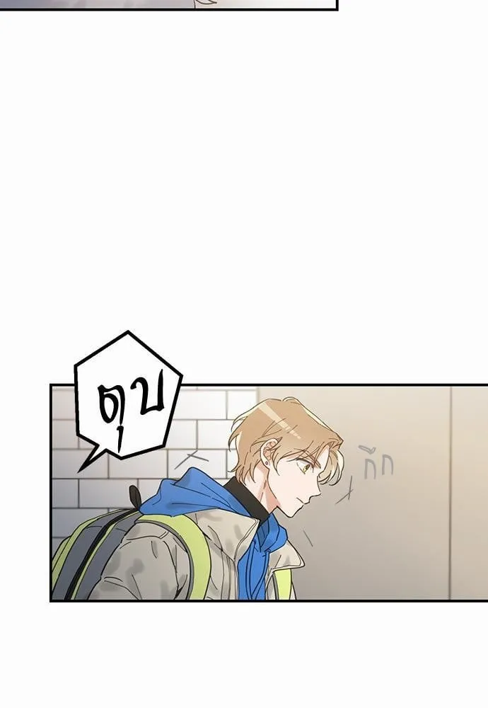 My One and Only Cat ตอนที่ 217 My One and Only Cat ตอนที่ 217