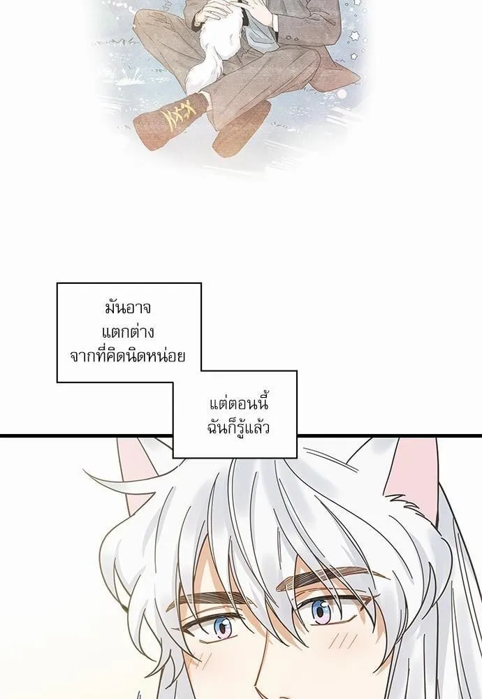My One and Only Cat ตอนที่ 2170