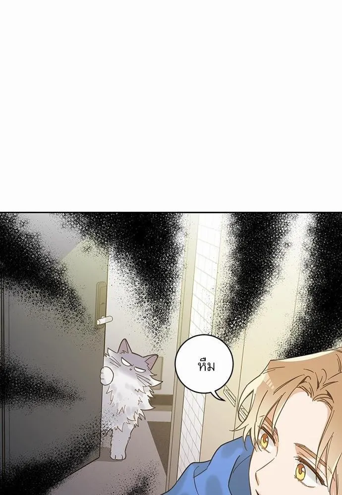 My One and Only Cat ตอนที่ 218 My One and Only Cat ตอนที่ 218