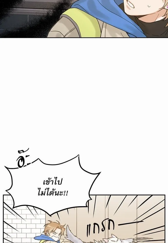 My One and Only Cat ตอนที่ 219 My One and Only Cat ตอนที่ 219