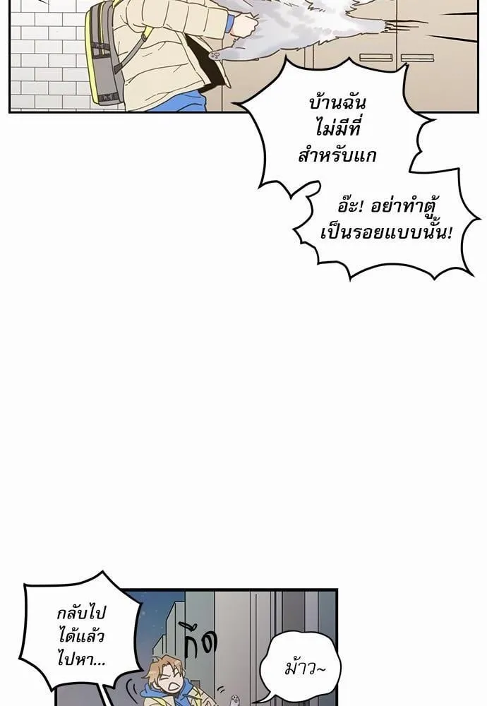 My One and Only Cat ตอนที่ 220 My One and Only Cat ตอนที่ 220