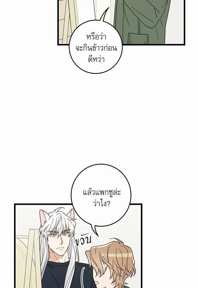 My One and Only Cat ตอนที่ 2203
