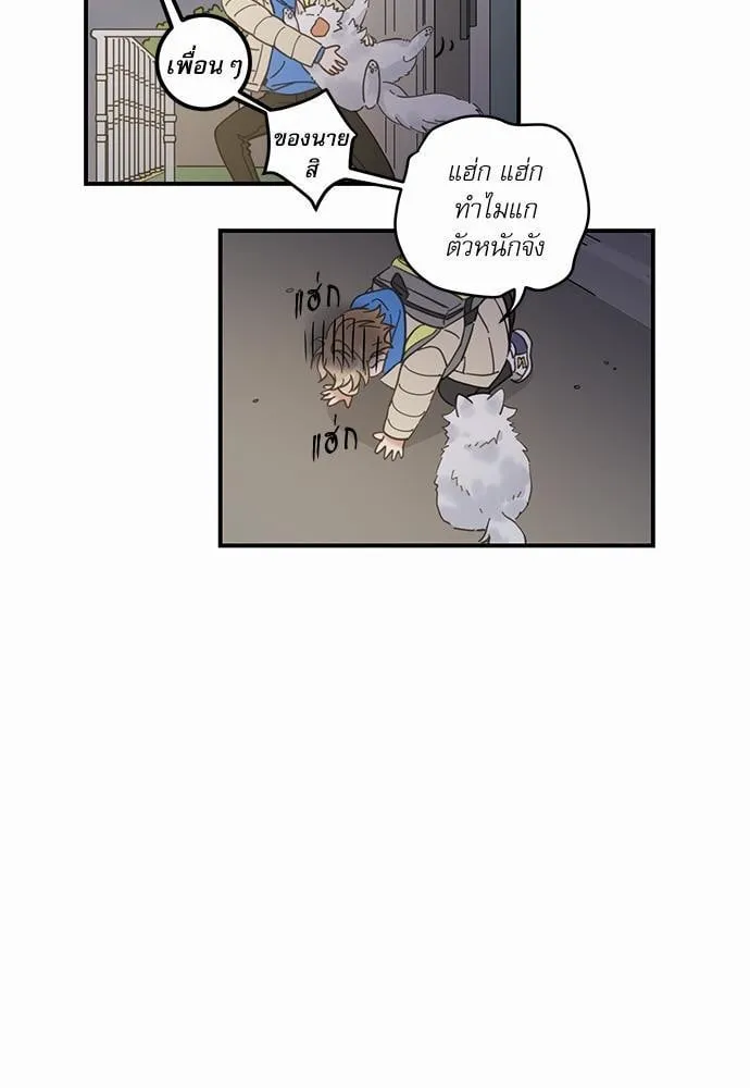 My One and Only Cat ตอนที่ 221 My One and Only Cat ตอนที่ 221