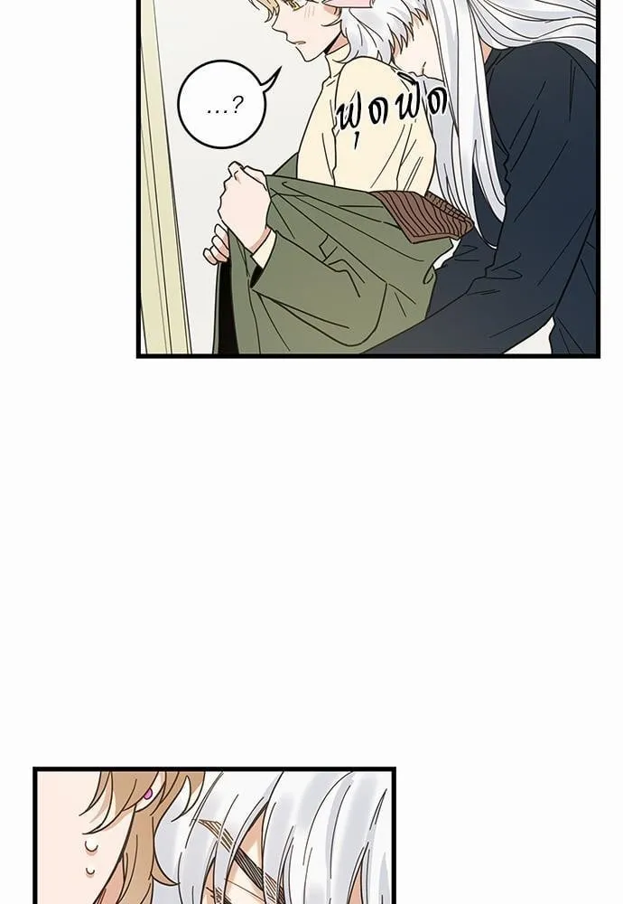 My One and Only Cat ตอนที่ 2211