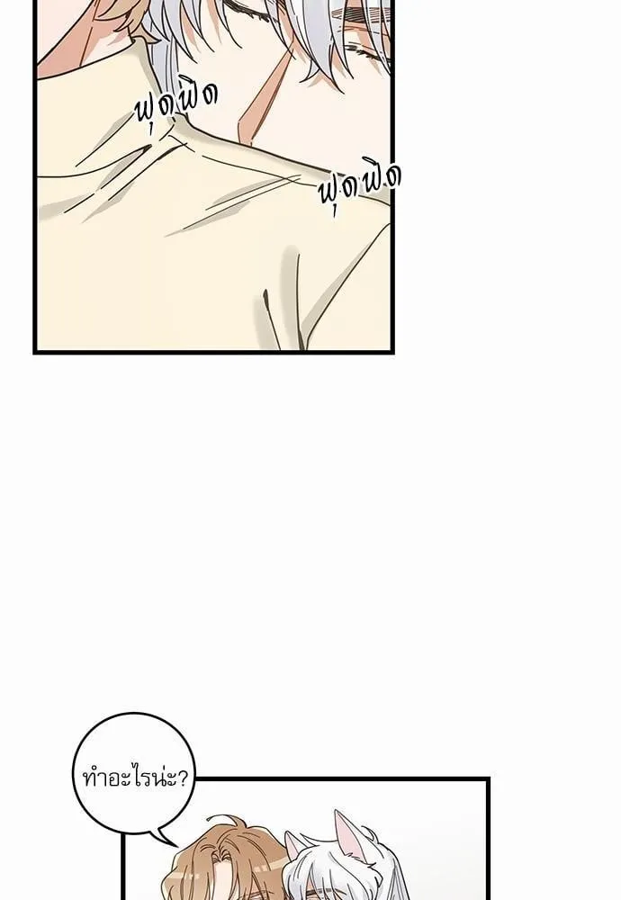 My One and Only Cat ตอนที่ 2212