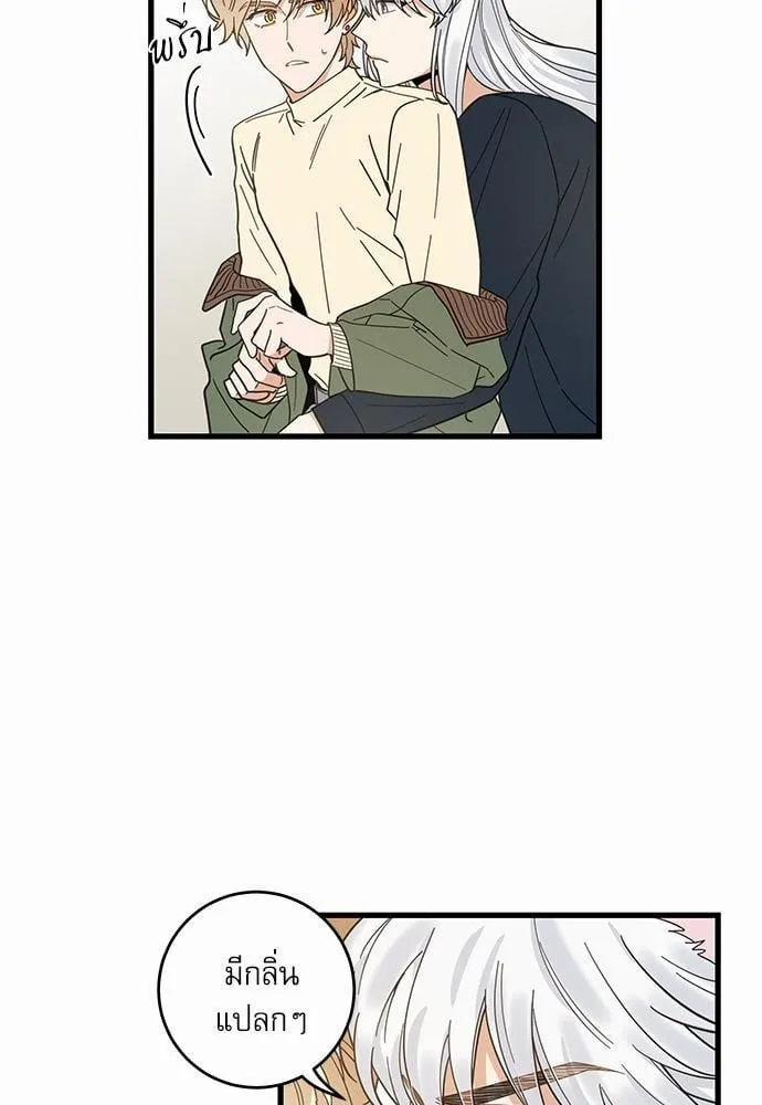 My One and Only Cat ตอนที่ 2213