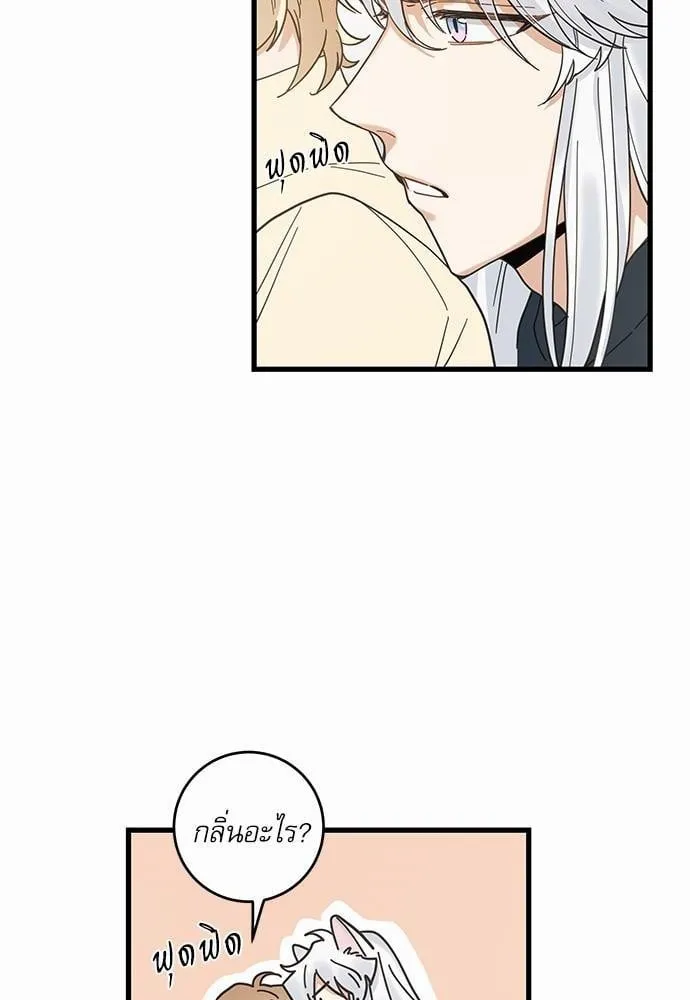 My One and Only Cat ตอนที่ 2214