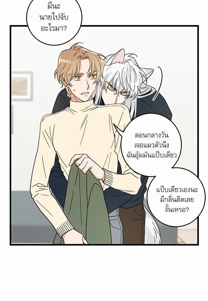 My One and Only Cat ตอนที่ 2216