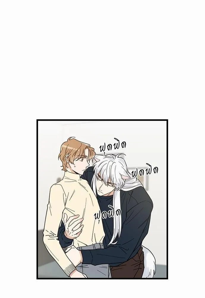 My One and Only Cat ตอนที่ 2218