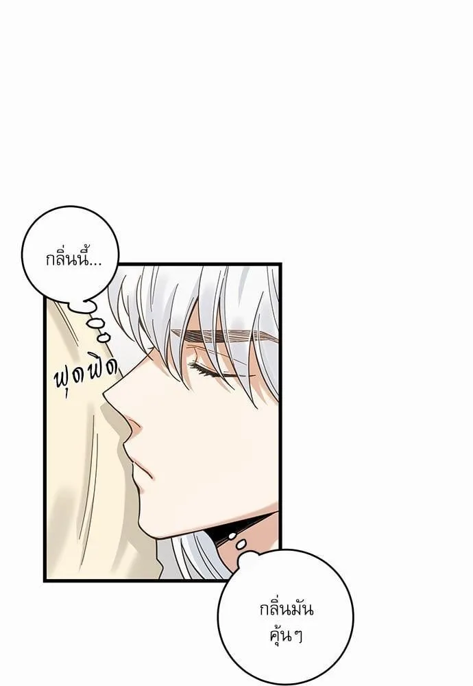 My One and Only Cat ตอนที่ 2219