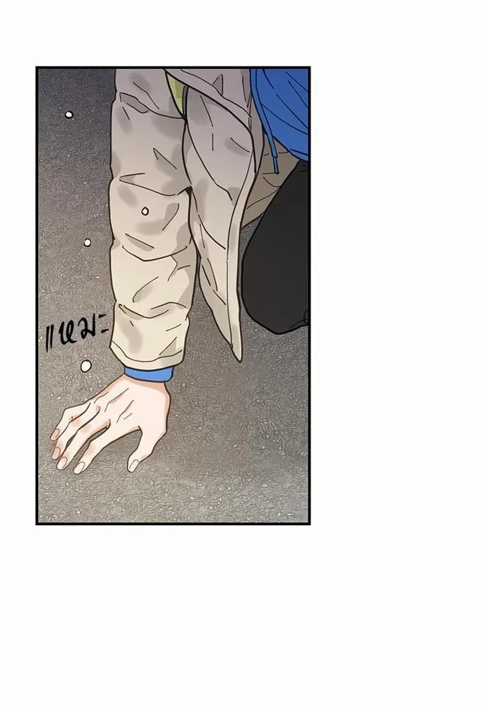 My One and Only Cat ตอนที่ 222 My One and Only Cat ตอนที่ 222