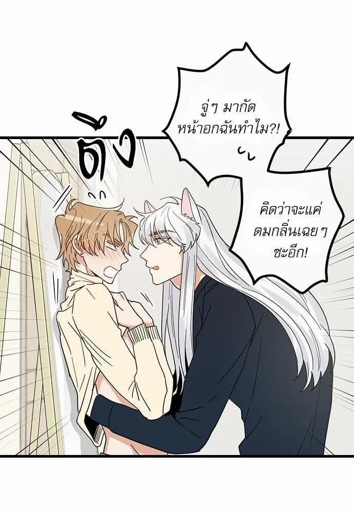 My One and Only Cat ตอนที่ 2223