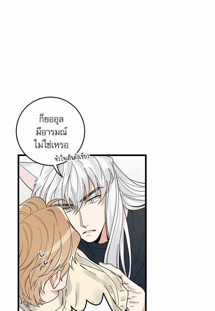 My One and Only Cat ตอนที่ 2224