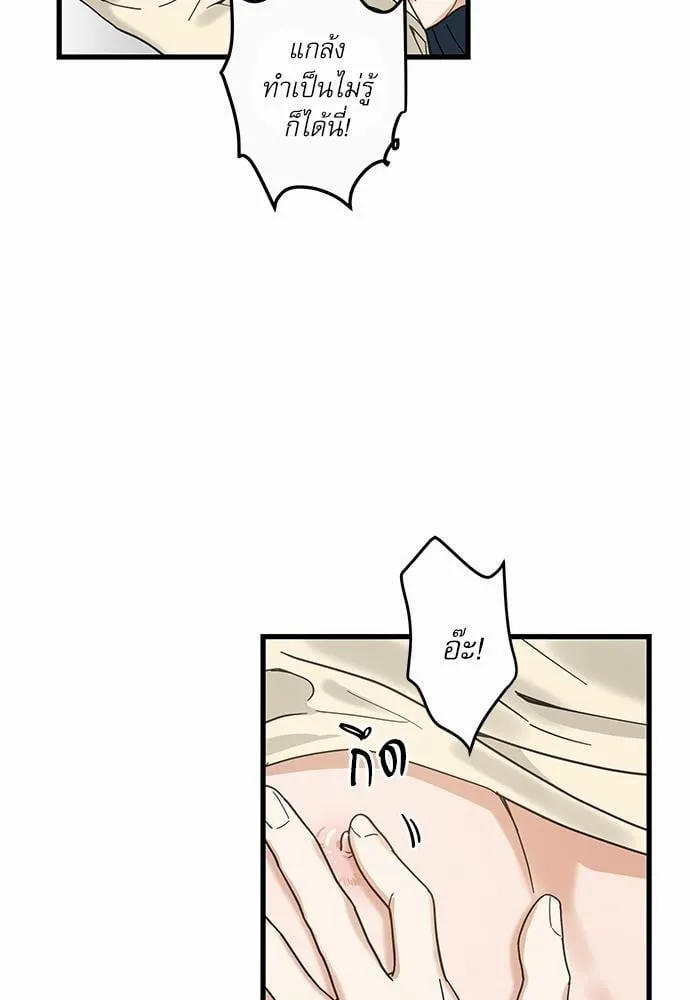 My One and Only Cat ตอนที่ 2225