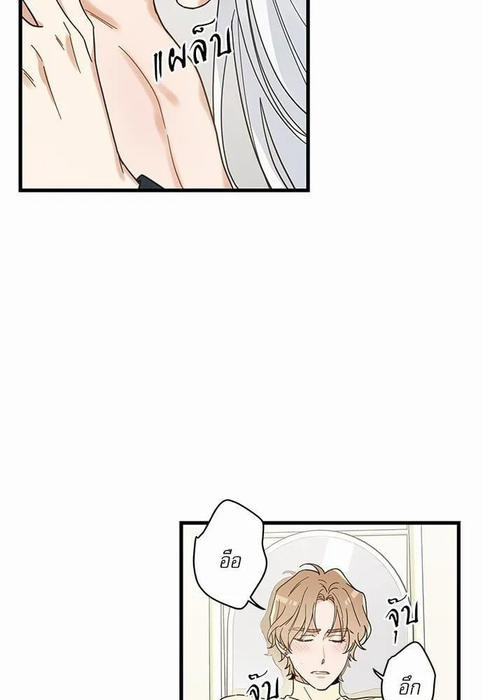 My One and Only Cat ตอนที่ 2227