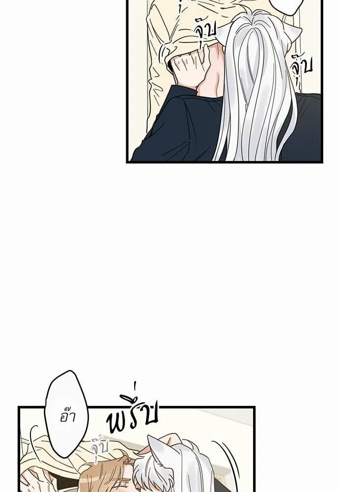 My One and Only Cat ตอนที่ 2228