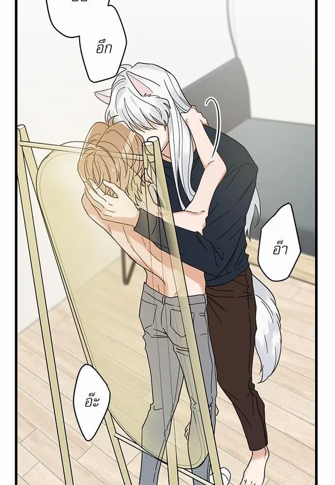 My One and Only Cat ตอนที่ 2230