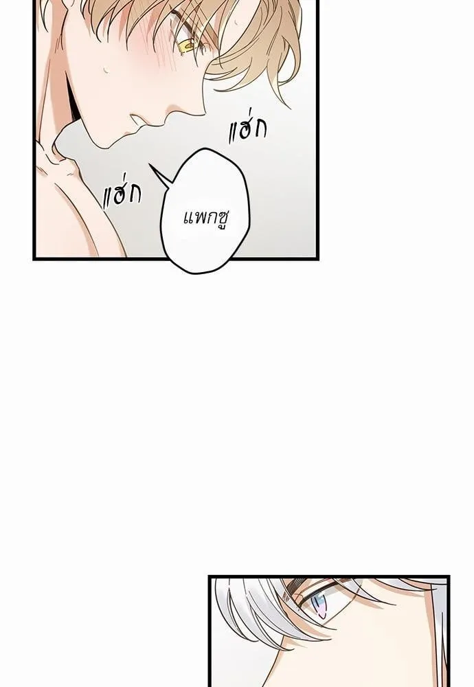 My One and Only Cat ตอนที่ 2235