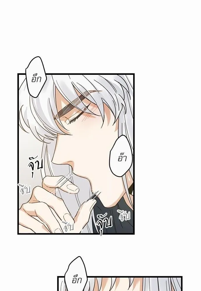 My One and Only Cat ตอนที่ 2238