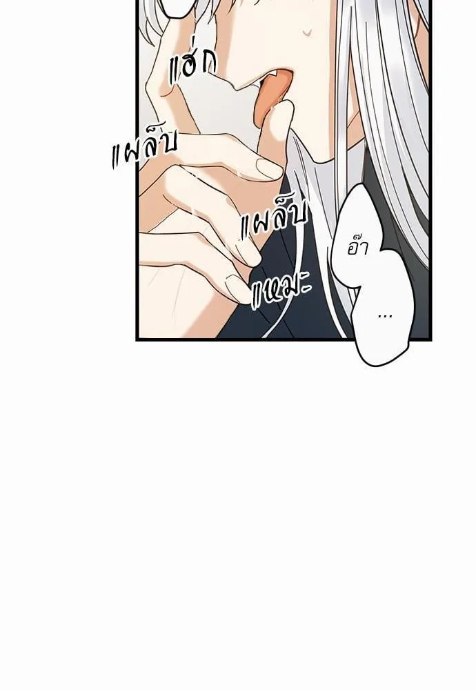 My One and Only Cat ตอนที่ 2239