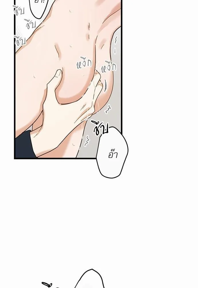 My One and Only Cat ตอนที่ 2241