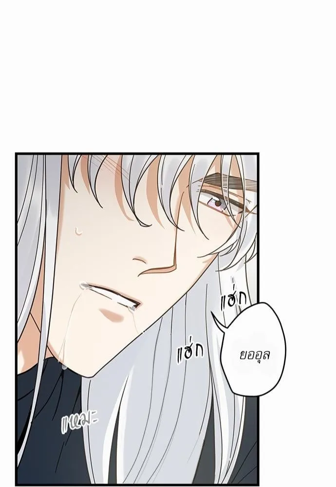 My One and Only Cat ตอนที่ 2243