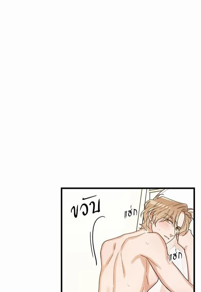 My One and Only Cat ตอนที่ 2244