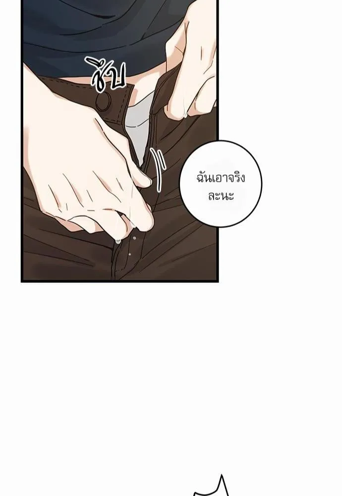 My One and Only Cat ตอนที่ 2246