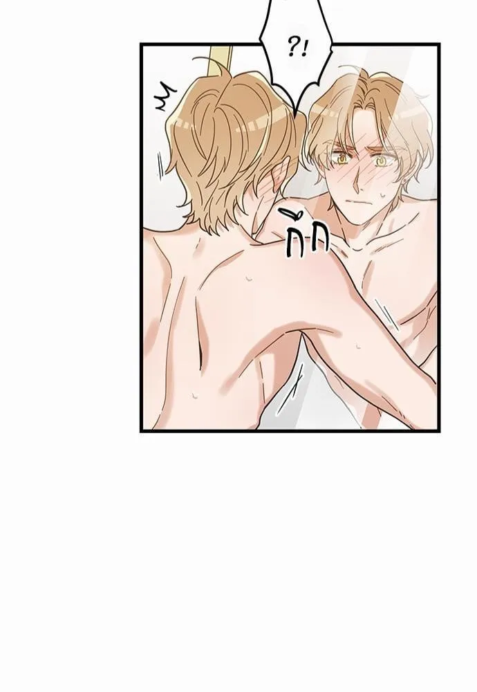 My One and Only Cat ตอนที่ 2247