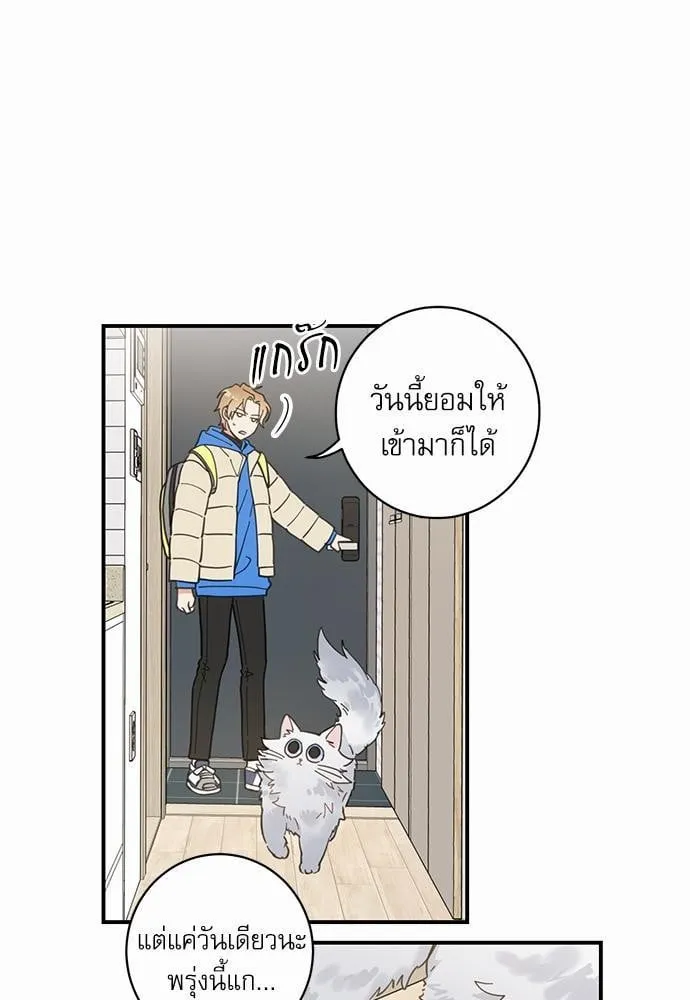 My One and Only Cat ตอนที่ 225 My One and Only Cat ตอนที่ 225