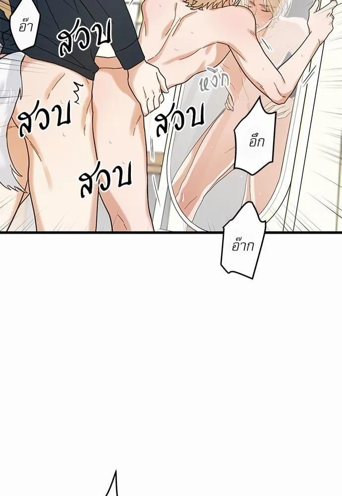 My One and Only Cat ตอนที่ 2250