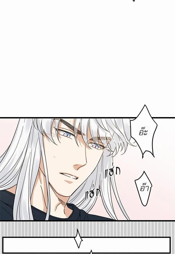 My One and Only Cat ตอนที่ 2254