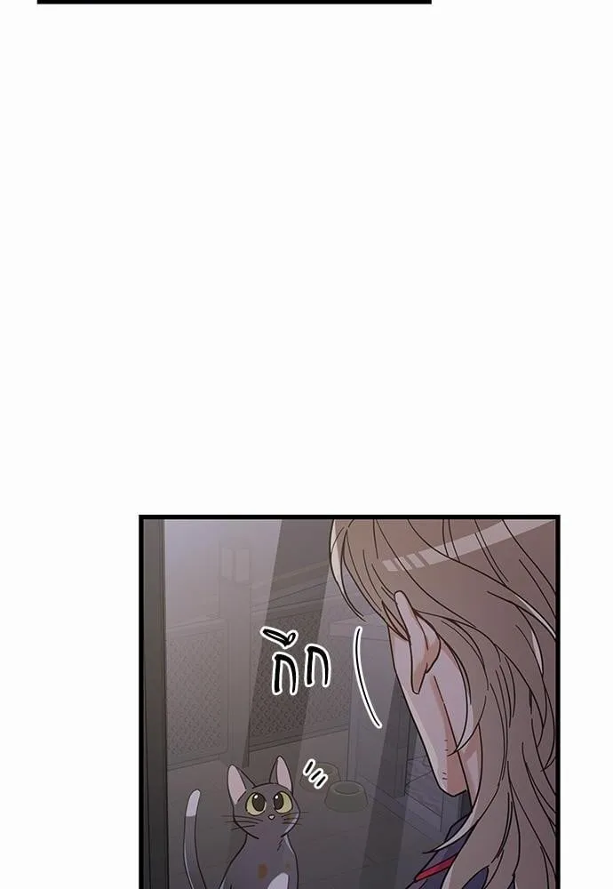 My One and Only Cat ตอนที่ 2258