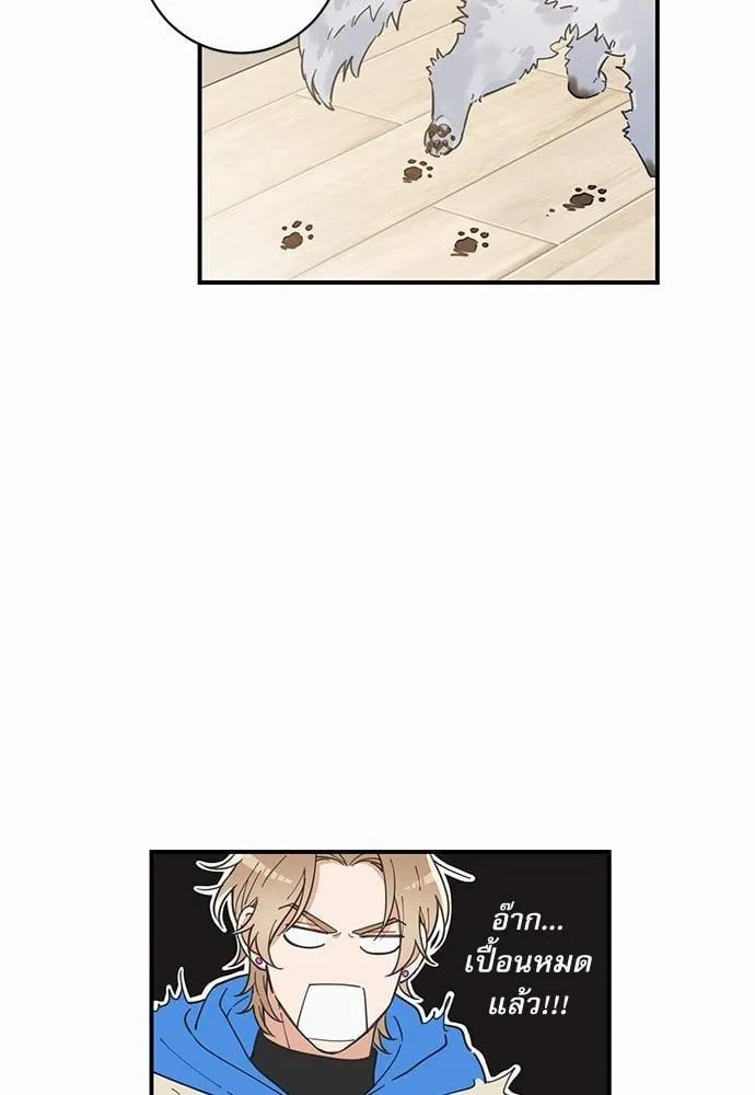 My One and Only Cat ตอนที่ 226 My One and Only Cat ตอนที่ 226