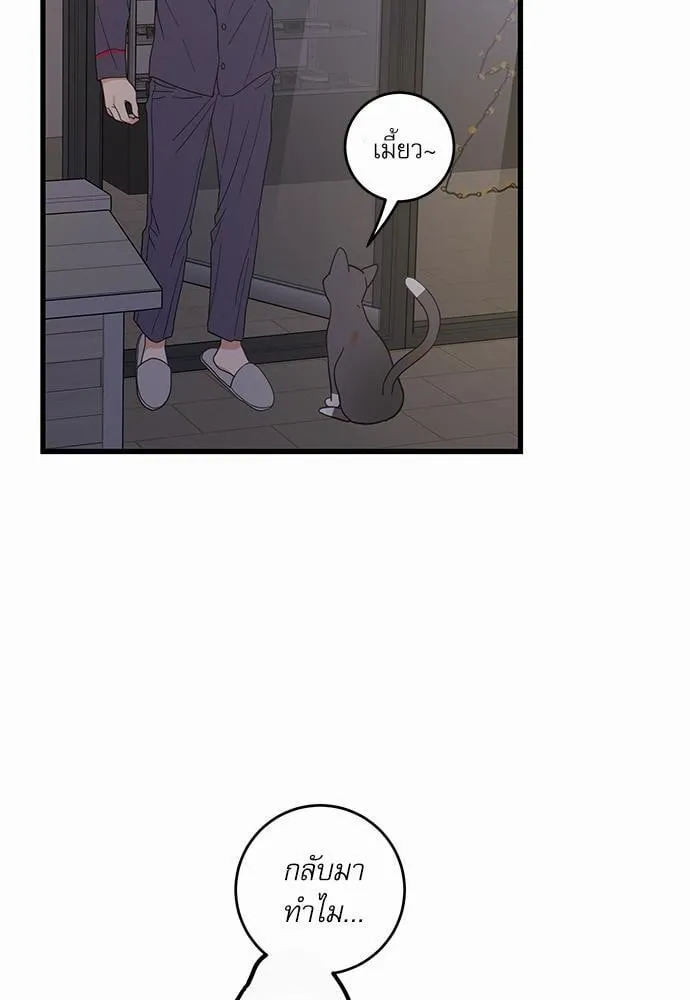 My One and Only Cat ตอนที่ 2260