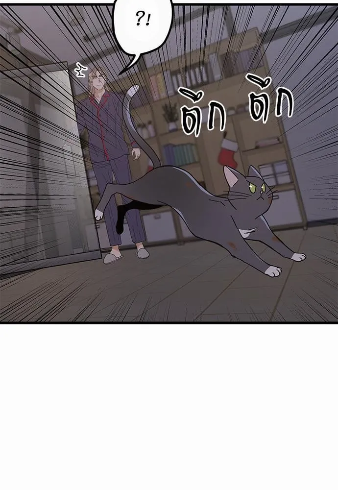 My One and Only Cat ตอนที่ 2261