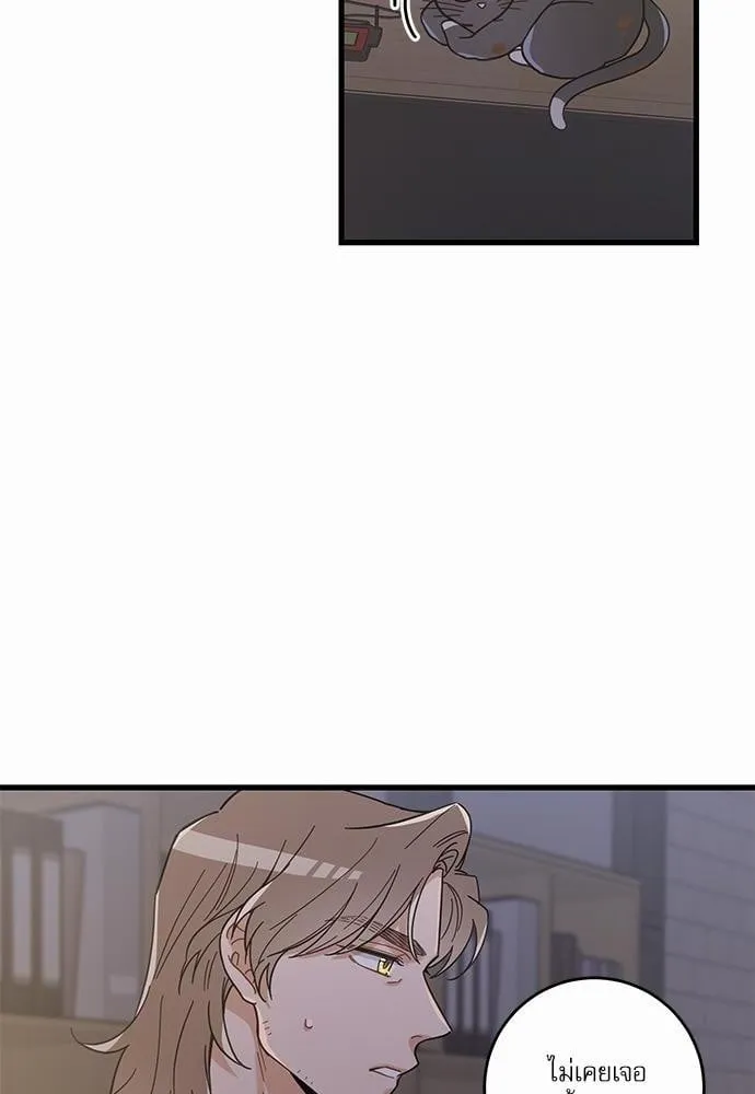 My One and Only Cat ตอนที่ 2264