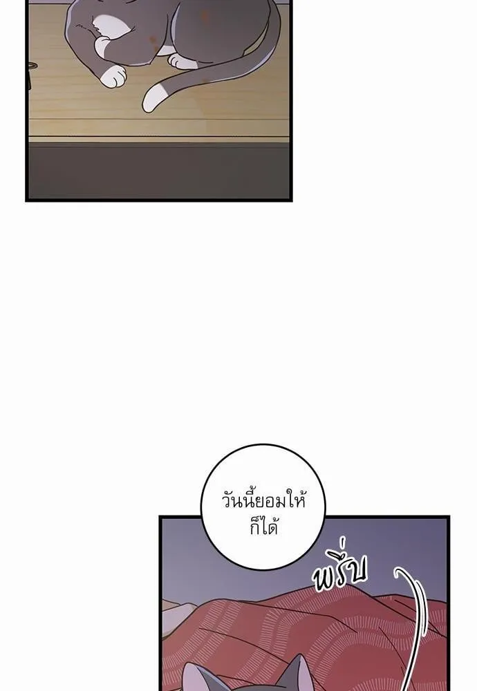 My One and Only Cat ตอนที่ 2268