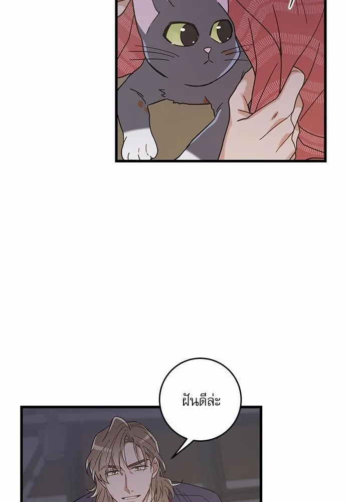 My One and Only Cat ตอนที่ 2269