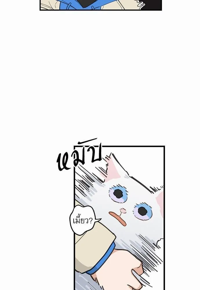 My One and Only Cat ตอนที่ 227 My One and Only Cat ตอนที่ 227