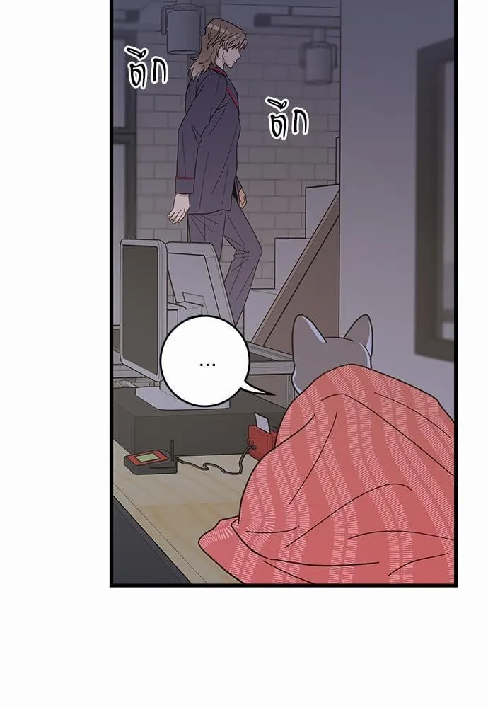 My One and Only Cat ตอนที่ 2271