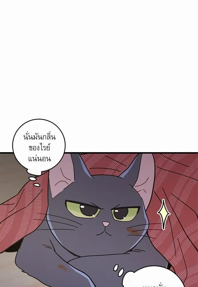 My One and Only Cat ตอนที่ 2273